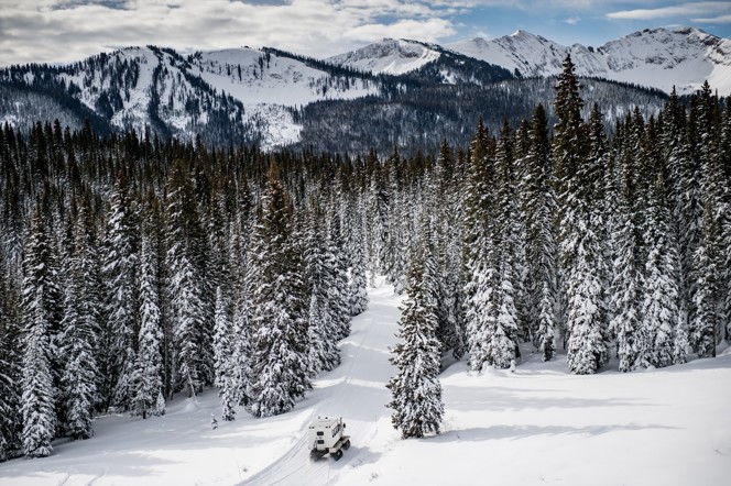 A catski driving through a dense evergreen forest covered in snow.